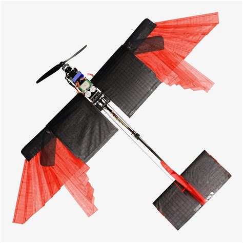 bird   plane   winged drone  flies smoothly