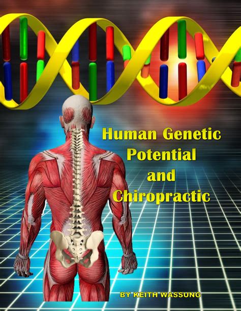 human genetic potential  chiropractic