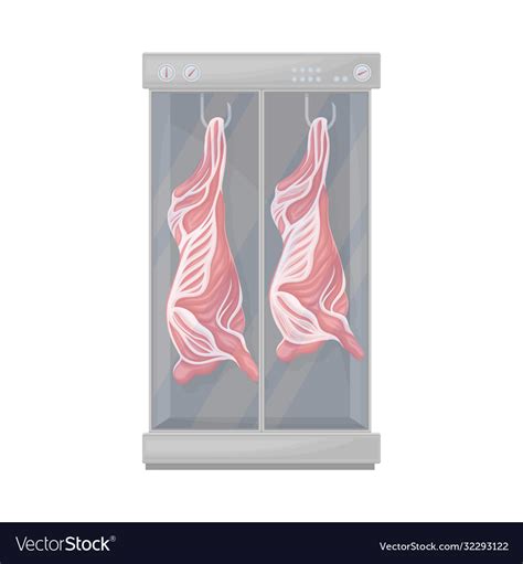 raw  carcass hanging  hook  fridge vector image