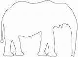 Elefante Elephant Contorno Colorear sketch template