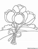 Tulip Bunch Coloring sketch template