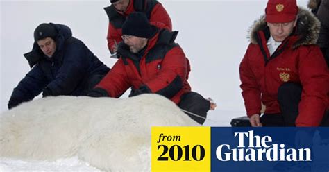 Vladimir Putin Hugs Polar Bear On Arctic Trip World News