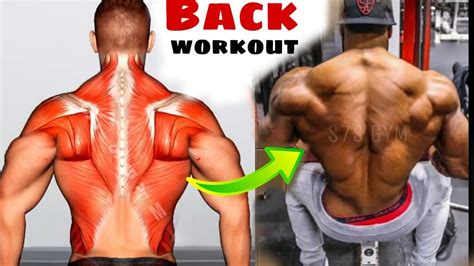 exercises give quick  effective results youtube