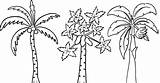 Pohon Menggambar Sketsa Tes Psikotes Orang Koleksi Cemara Mewarnai Pisang Ranting Mudah sketch template