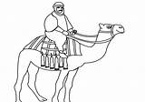 Camel Unta Dromadaire Camels Riding Mewarnai Pasir Kamel Diwarnai Menunggang Coloriages Crossing Realisticcoloringpages sketch template