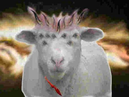 revelation section  lamb      slain sermons change
