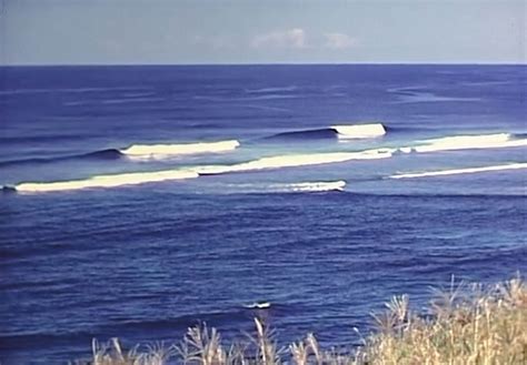 lord howe island lonely   pacific  surfers journal