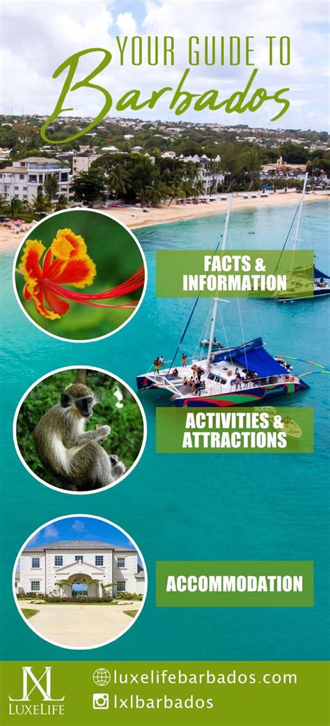 Barbados Has So Much To Offer Here Is The Ultimate Guide To Facts