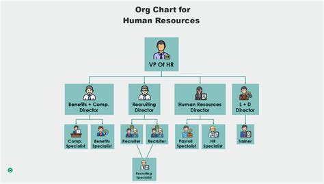 hr department structure designs   edrawmind