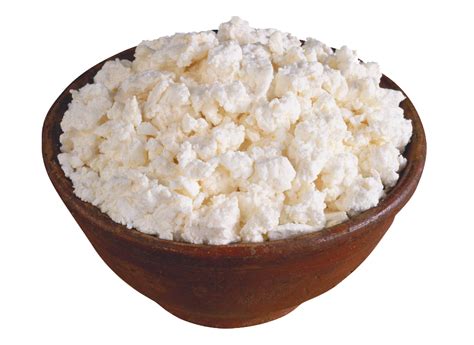 cottage cheese png