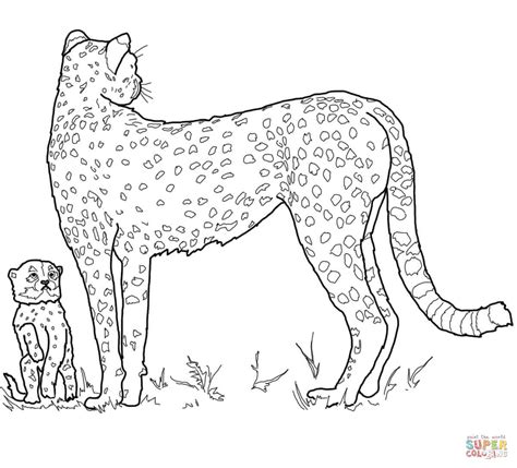 baby cheetah  mother coloring page  printable coloring pages