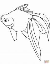 Coloring Goldfish Pages Fish Golden Paper Gold Printable sketch template