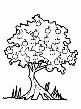 Baum Ausmalbilder Pommier Coloriages Coloriage Ausmalbild Klimt Getdrawings Colorier sketch template