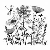 Summer Doodle Drawing Meadow Flower Flowers Doodles Garden Drawings Simple Crafty Individuals Stamp Rubber Et Floral 90mm 82mm Ci Draw sketch template