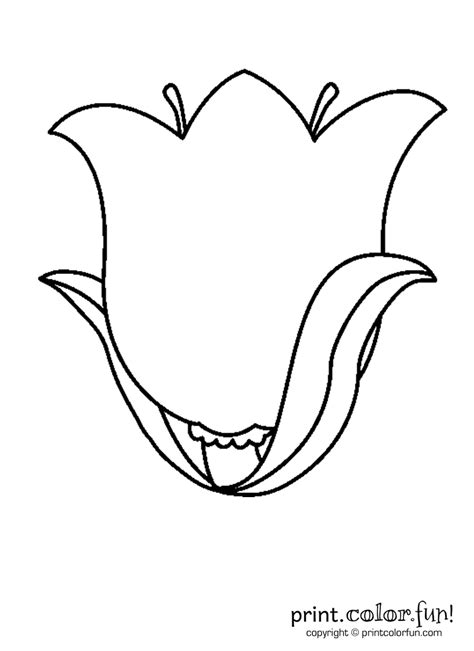 Tulip Coloring Book Chilangomadrid Com