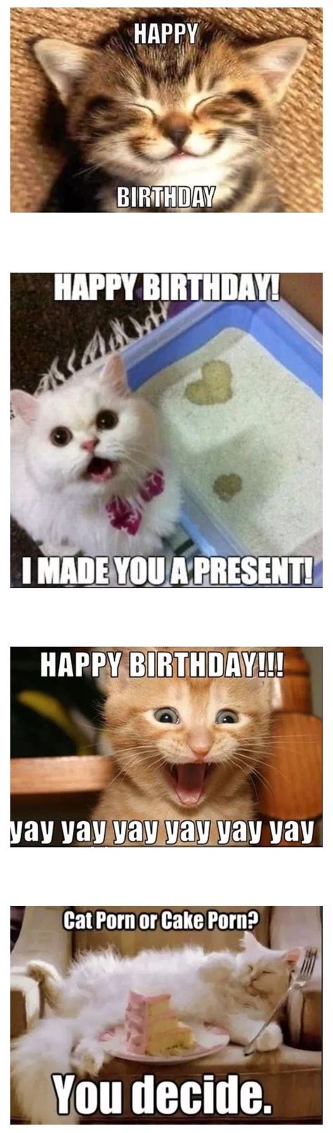 Happy Birthday Cat Meme Funny Happy Birthday Meme