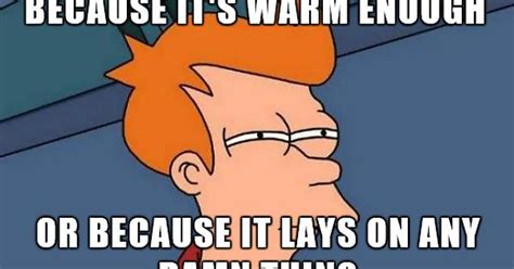 So I Got A Heating Pad For Those Cold Nights Meme On Imgur