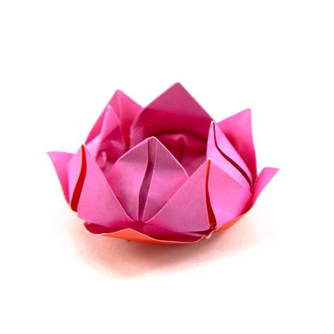 origami flower clipart  color