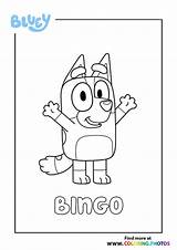Bluey Bingo sketch template