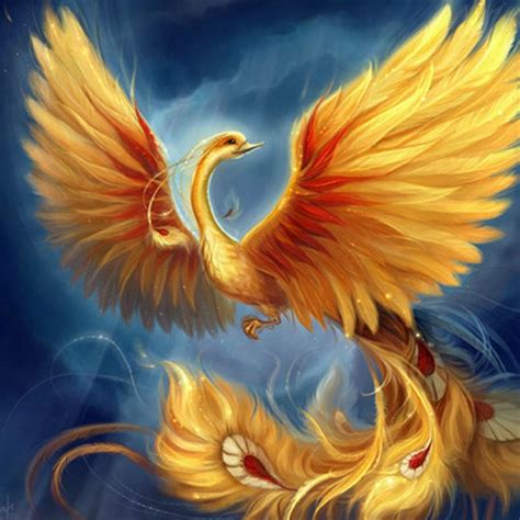 mythical birds images  pinterest phoenix bird kite