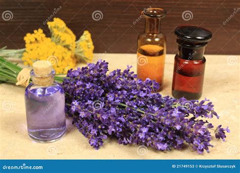 lavender spa stock  image