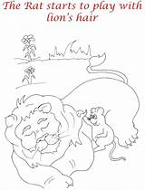 Lions Pdf sketch template