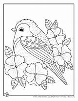 Bird Mandala Woojr Woo sketch template