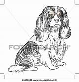 Cavalier Spaniel Puppy sketch template