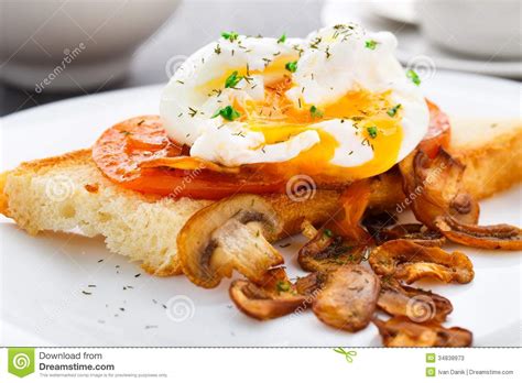 gestroopt ei met paddestoelen en tomaten stock afbeelding image  maaltijd sandwich