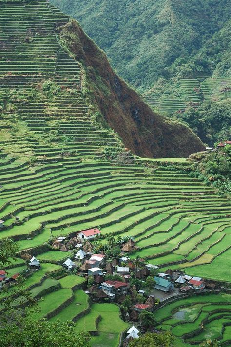 Batad Rice Terraces 8th Wonder Of The World Banaue
