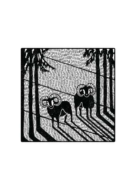 wild sheep illustration freelance illustrator artwork