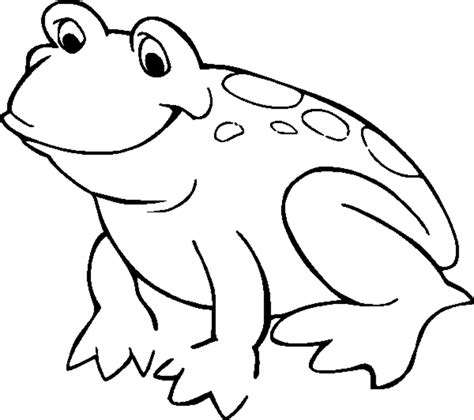 amphibians coloring pages coloring home