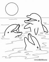 Delphine Drei Spielende Dolphins Hellokids Farben Drucken sketch template