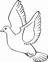 Coloring Dove Flying Pages Printable Doves Drawing sketch template