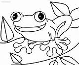 Sapo Toad Cool2bkids Paginas Sapos Coloringbay sketch template