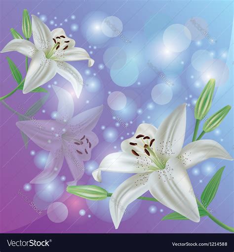 lily flower background greeting  invitation card