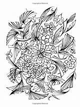 Haven Creative Board Coloring Books Floral Choose Frenzy Amazon sketch template