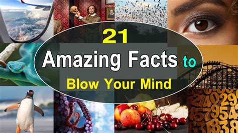 21 amazing facts to blow your mind amazing facts for people who can