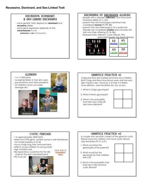 34 sex linked traits worksheet answer key support worksheet