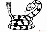 Snake Coloring Pages Printable Rattlesnake Cartoon Printables sketch template
