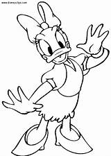 Duck Donald Coloring Cartoons Drawing Drawings Printable Pages sketch template