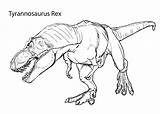 Tyrannosaurus Pages Rex Coloring Kids Color Print Dinosaurs Adults sketch template