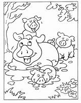 Kleurplaat Boerderij Varkens Pig Kleurplaten Gemt sketch template