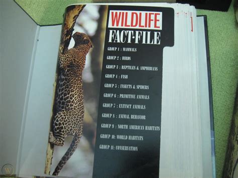 wildlife fact file cards  binders animal  education homeschool