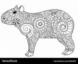 Capybara Coloring Pages Adults Vector Colouring Colour Royalty sketch template