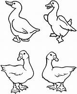 Goose Coloring Mother Pages Color Netart Getcolorings Print sketch template