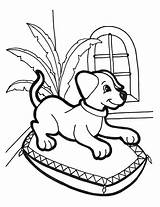 Pages Puppy Dog Coloring Print Template Puppies sketch template