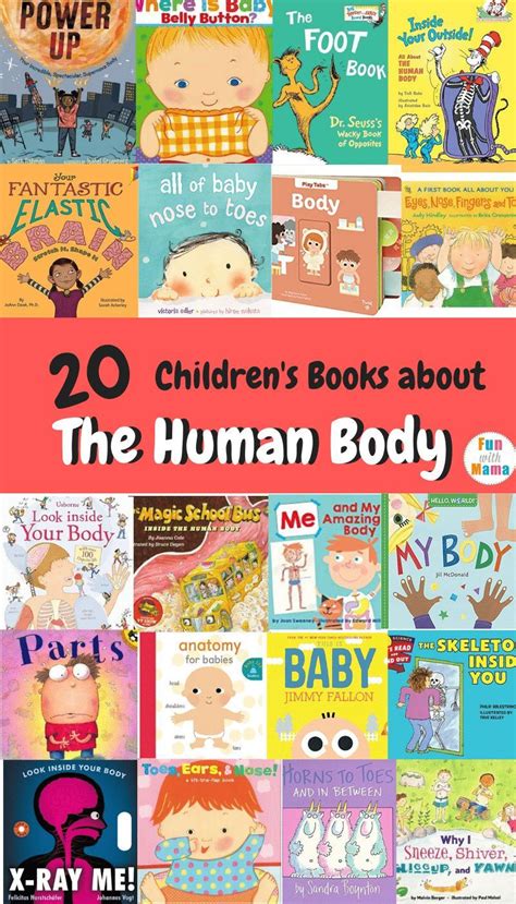 childrens books   human body    toddler books