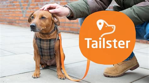 tailster    pet     hand uks largest pet care company youtube