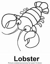 Lobster Coloring Pages Color Drawing Red Footprint Animals Colouring Outline Sheets Crayfish Line Template Book Sea Kids Printable Footprints Sand sketch template